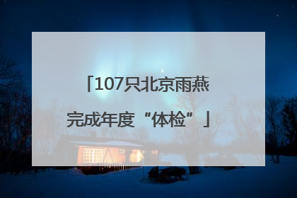 107只北京雨燕完成年度“体检”