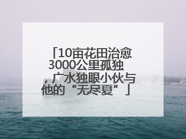 10亩花田治愈3000公里孤独，广水独眼小伙与他的“无尽夏”
