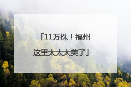 11万株！福州这里太太太美了