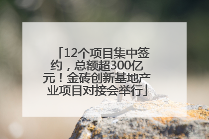12个项目集中签约，总额超300亿元！金砖创新基地产业项目对接会举行