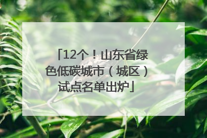 12个！山东省绿色低碳城市（城区）试点名单出炉