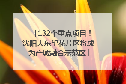 132个重点项目！沈阳大东望花片区将成为产城融合示范区