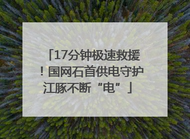 17分钟极速救援！国网石首供电守护江豚不断“电”