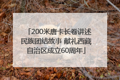 200米唐卡长卷讲述民族团结故事 献礼西藏自治区成立60周年