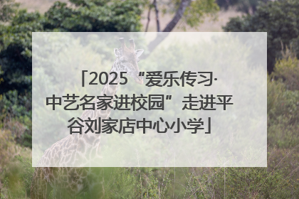 2025“爱乐传习·中艺名家进校园”走进平谷刘家店中心小学