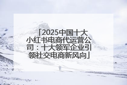 2025中国十大小红书电商代运营公司：十大领军企业引领社交电商新风向