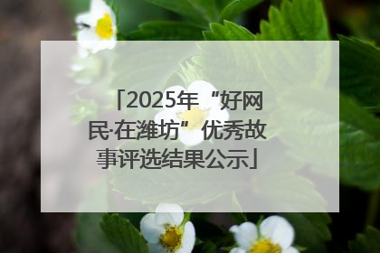 2025年“好网民·在潍坊”优秀故事评选结果公示