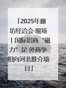 2025年廊坊经洽会·现场丨国际招商“磁力”足 外商争相向河北推介项目
