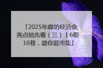 2025年廊坊经洽会亮点抢先看（三）丨6街16巷，邀你逛市集