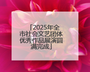 2025年全市社会文艺团体优秀作品展演圆满完成