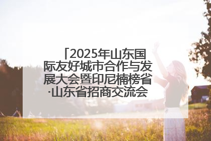 2025年山东国际友好城市合作与发展大会暨印尼楠榜省·山东省招商交流会在济南槐荫举行