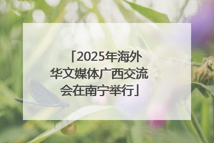 2025年海外华文媒体广西交流会在南宁举行