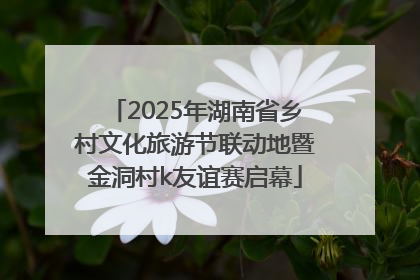 2025年湖南省乡村文化旅游节联动地暨金洞村k友谊赛启幕