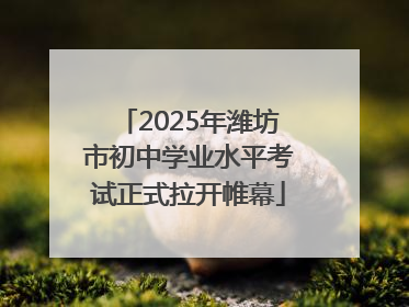 2025年潍坊市初中学业水平考试正式拉开帷幕
