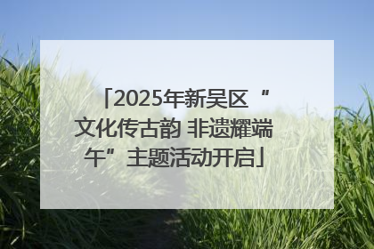 2025年新吴区“文化传古韵 非遗耀端午”主题活动开启