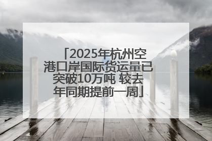 2025年杭州空港口岸国际货运量已突破10万吨 较去年同期提前一周