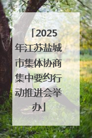 2025年江苏盐城市集体协商集中要约行动推进会举办