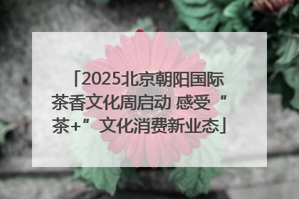 2025北京朝阳国际茶香文化周启动 感受“茶+”文化消费新业态