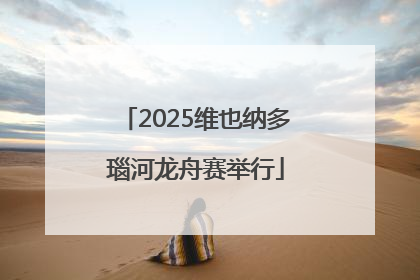 2025维也纳多瑙河龙舟赛举行