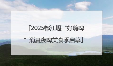 2025都江堰“好嗨啤”消夏夜啤美食季启幕