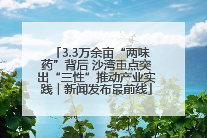 3.3万余亩“两味药”背后 沙湾重点突出“三性”推动产业实践丨新闻发布最前线
