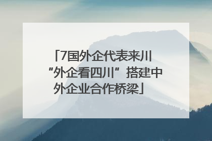 7国外企代表来川 “外企看四川”搭建中外企业合作桥梁