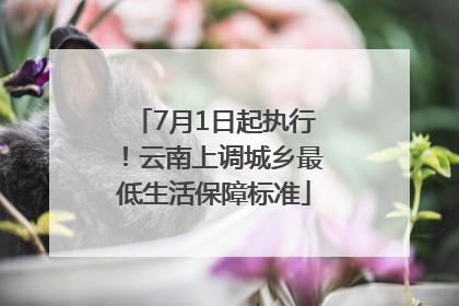 7月1日起执行！云南上调城乡最低生活保障标准