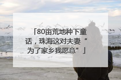 80亩荒地种下童话，珠海这对夫妻“为了家乡我愿意”