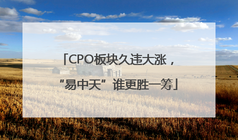 CPO板块久违大涨，“易中天”谁更胜一筹