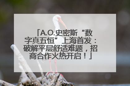 A.O.史密斯“数字真五恒”上海首发：破解平层舒适难题，招商合作火热开启！