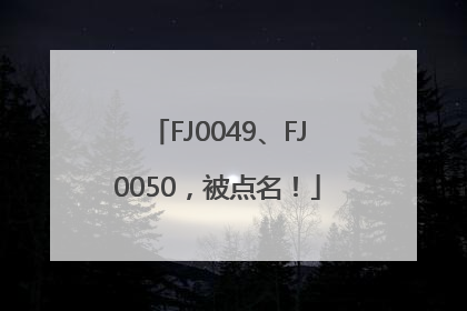 FJ0049、FJ0050，被点名！