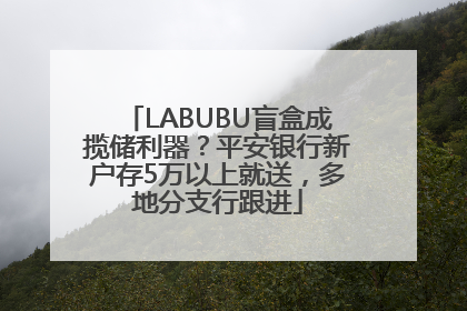 LABUBU盲盒成揽储利器？平安银行新户存5万以上就送，多地分支行跟进